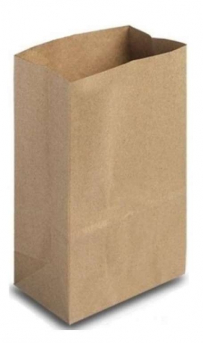 MP - SACO DELIVERY 18 X 10 X 27 (PP1) LISO - PT.100UN